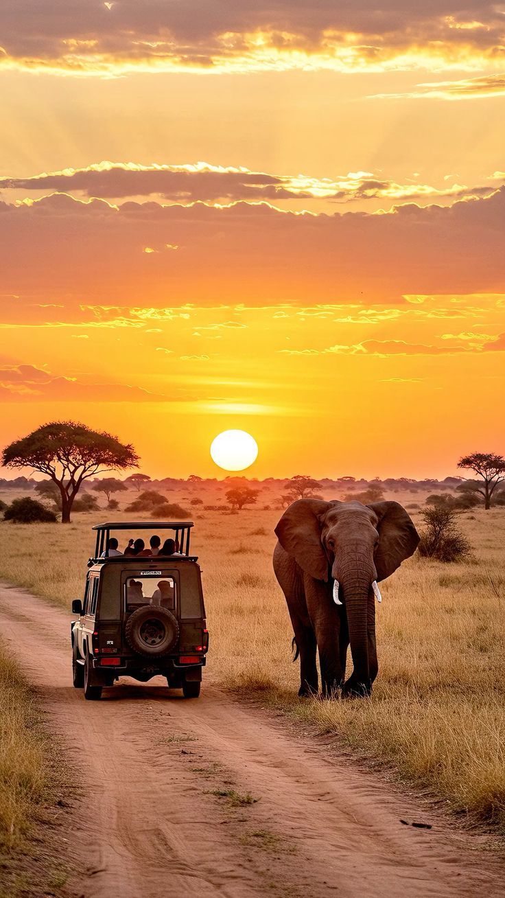 Safari en África